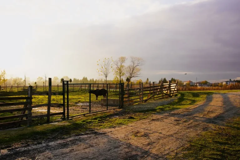 Porteira e estrada de terra em propriedade rural, ilustrando a disputa pela posse